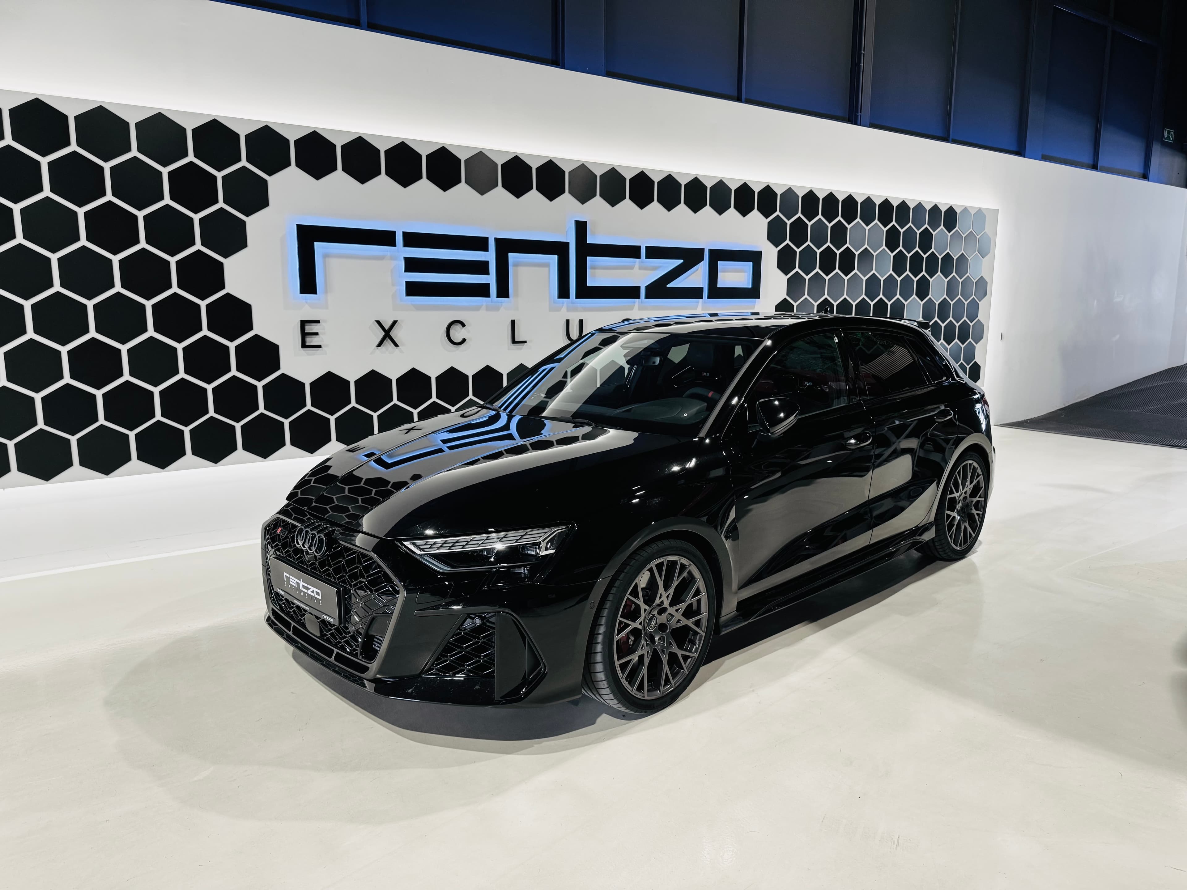 Audi RS3 Performance